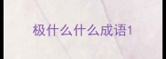 极什么什么成语
