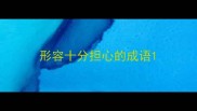 形容十分担心的成语