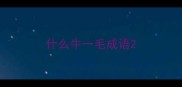 什么牛一毛成语