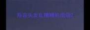 形容头发乱糟糟的成语