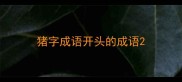 猪字成语开头的成语