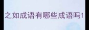 之如成语有哪些成语吗
