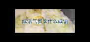 成语气贯长什么成语