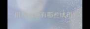 用月成语有哪些成语
