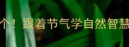 反映物候的成语必学50个跟着节气学自然智慧解锁传统文化新玩法