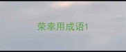 荣幸用成语