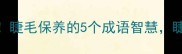 睫毛养护必看睫毛保养的5个成语智慧睫毛浓密有神速
