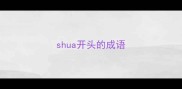 shua开头的成语