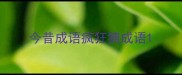 今昔成语疯狂猜成语