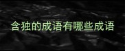 含独的成语有哪些成语