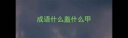 成语什么盔什么甲