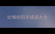 比喻的四字成语大全