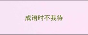 成语时不我待