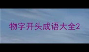 物字开头成语大全