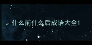 什么前什么后成语大全
