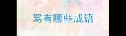 骂有哪些成语