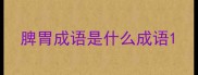 脾胃成语是什么成语