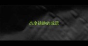 态度镇静的成语