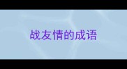 战友情的成语