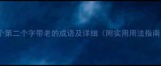 10个第二个字带老的成语及详细附实用用法指南