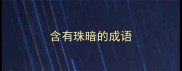 含有珠暗的成语