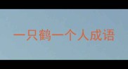 一只鹤一个人成语