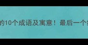 带兔字的10个成语及寓意最后一个绝了