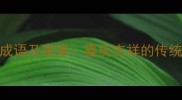 20个红光成语及寓意喜庆吉祥的传统文化密码