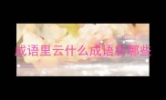成语里云什么成语有哪些