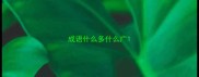 成语什么多什么广