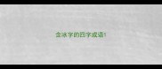 含冰字的四字成语