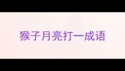 猴子月亮打一成语