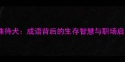 守株待犬成语背后的生存智慧与职场启示