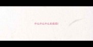什么什么什么言成语