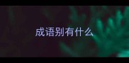 成语别有什么