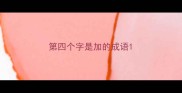 第四个字是加的成语