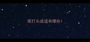 尾打头成语有哪些