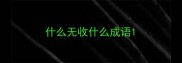 什么无收什么成语