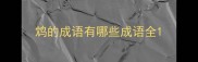 鸩的成语有哪些成语全