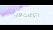 驯是么成语