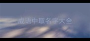 成语中取名字大全