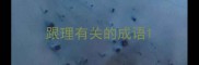 跟理有关的成语