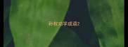 孙权劝学成语