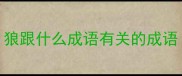 狼跟什么成语有关的成语