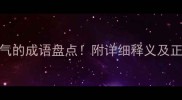 100个形容骚气的成语盘点附详细释义及正确用法指南
