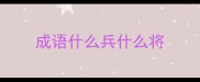 成语什么兵什么将