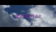 成语色彩什么