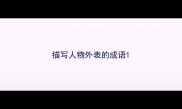 描写人物外表的成语