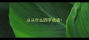 从从什么四字成语