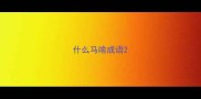 什么马啥成语